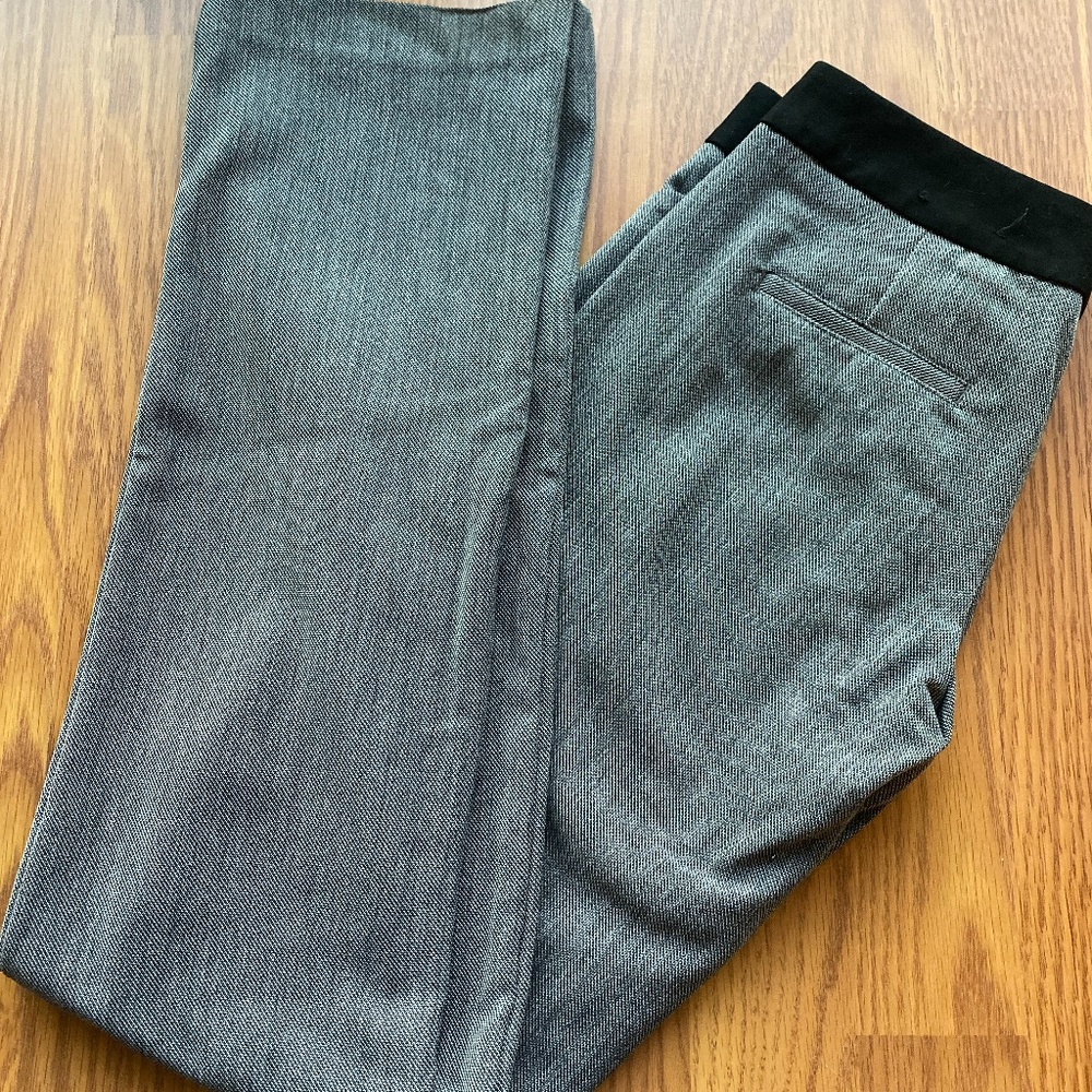 Express Grey/ Black Business Pants